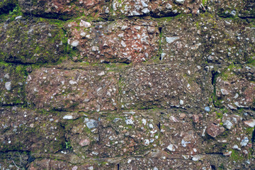 Very old Brick wall with moss and plant, wall texture