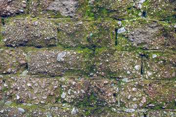 Very old Brick wall with moss and plant, wall texture