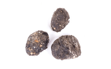 Owl - Bird of prey, dropping