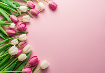 White and pink tulips on lightpink background.