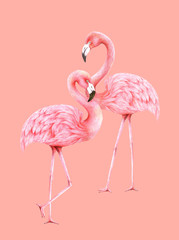 flamingo background,living coral tone 2019,illustraion,color pencils technique