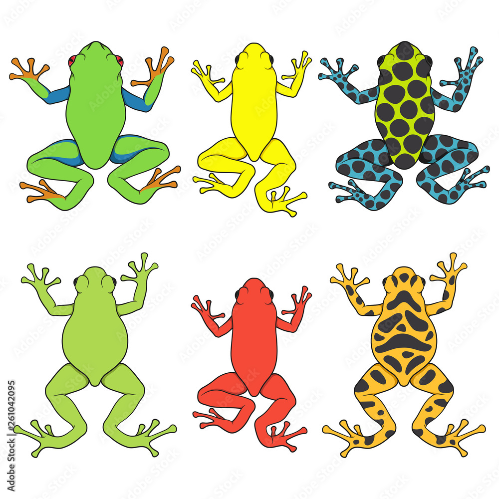 Poster set of color illustrations with tropical tree frogs. isolated vector objects on white background.