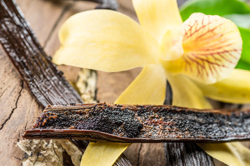Dried vanilla fruits and vanilla orchid on wooden table.
