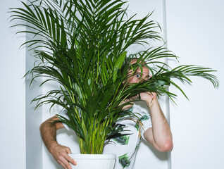 Hiding behind the plant