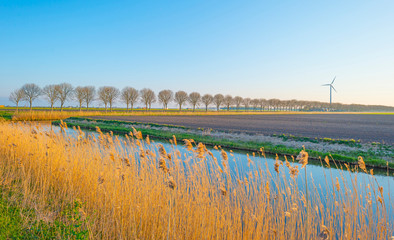 Canal in a field below a blue sky in sunlight at sunrise in spring