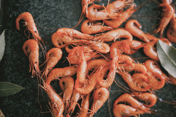 Shrimps
