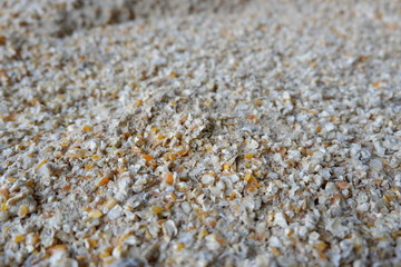 a mixture of corn and bran, for animal feed
