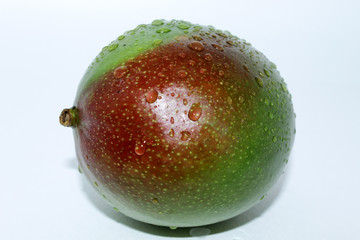Mango on white background