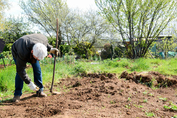 Man preparing ground to grow own vegetables in an allotment garden