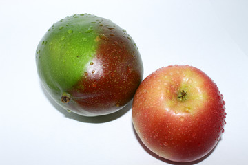 Mango with Apple, freshly washed, on white background