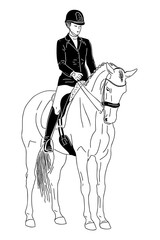 Fototapeta na wymiar A sketch of a dressage rider on a horse executing the stop.