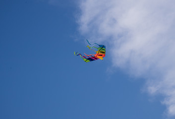 colorful kites flying in the sky during a festival 