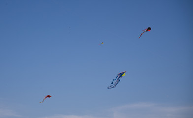 Naklejka na ściany i meble colorful kites flying in the sky during a festival 