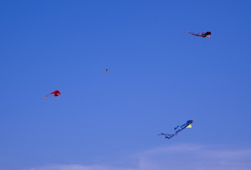 Naklejka na ściany i meble colorful kites flying in the sky during a festival 