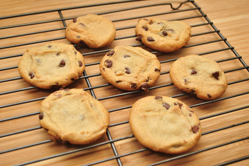 Homemade Chocolate Chip Cookies Cooling on a Rack 