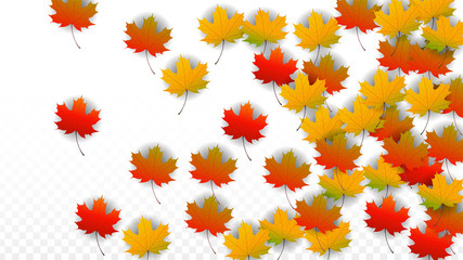 September Vector Background with Golden Falling Leaves. Autumn Illustration with Maple Red, Orange, Yellow Foliage. Isolated Leaf on Transparent Background. Bright Swirl. Suitable for Posters.