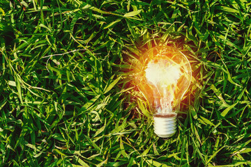 lightbulb on green grass. concept energy power