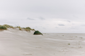 Amrum Strand