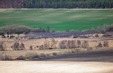 Fototapeta na wymiar Agrolandscape in the early spring. view of the agrolandscape in the early spring