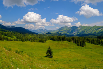 Fototapeta na wymiar Summer time landscape in Switzerland