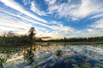 Okefenokee swamp sunset