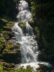 Waterfall in the forest at summer