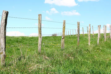 La clôture d'un champ avec du fil de fer barbelé © Monique Pouzet