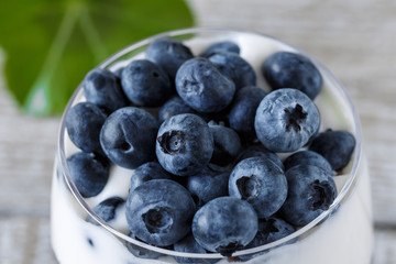 Ripe blueberries on yogurt
