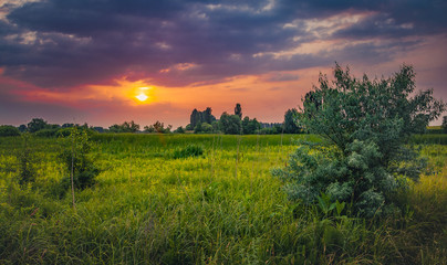 Fields landscape in summer sunset and sunrise