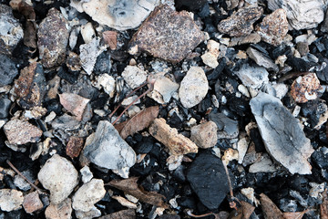 Gray ashes from the furnace. Background texture, ash, grey ash from wood, from fireplace. An extinct fire.