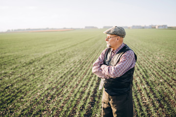 Adult farmer checking plants on his farm.