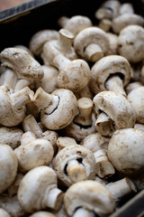 Champignones en cajón de madera