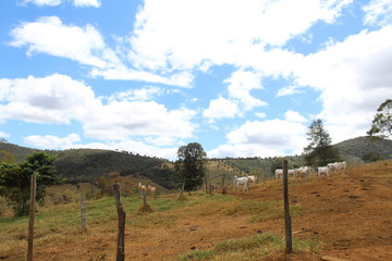 Obraz premium Sky