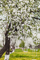 wedding decorations in the blossoming apple garden