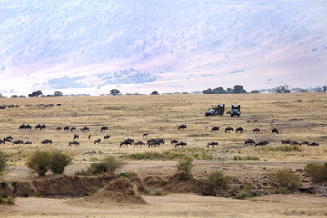 Fototapeta na wymiar Tourists enjyoing game drive in Masai Mara National Reserve