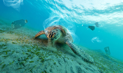 Underwater global problem with plastic rubbish