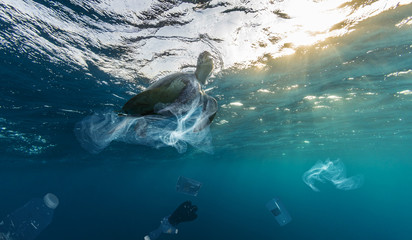 Underwater global problem with plastic rubbish