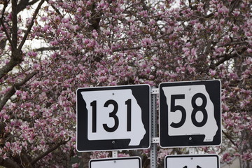 Road Sign