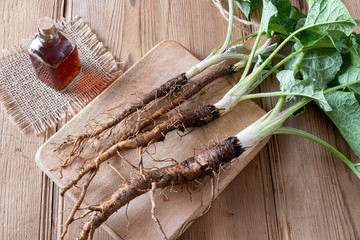 Burdock roots and tincture on a table