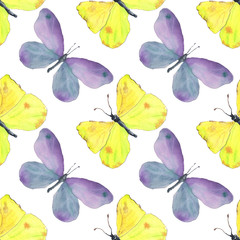 Yellow and violet butterflies pattern