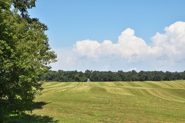 Thunderheads over Field