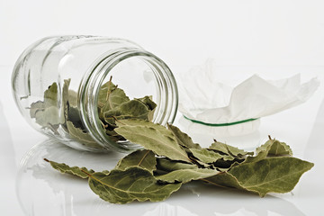 alloro foglie secche in vaso di vetro rovesciato