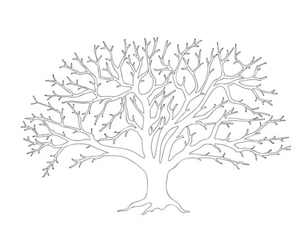 apple tree without leaves black outline © sliplee