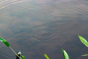 textura água lago