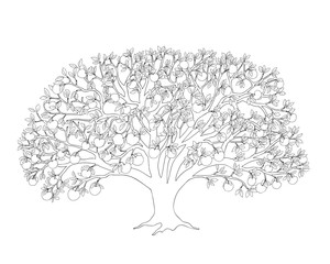 apple tree with leaves and apples black outline