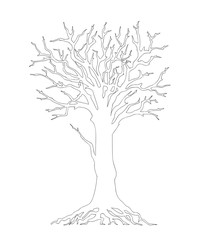 tree without leaves black outline