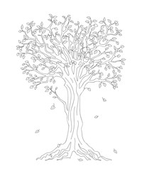 tree with fall down leaves black outline