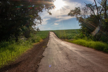 Fototapeta na wymiar caminhos estradas paisagens e sol brilhando