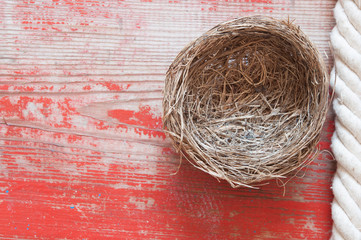 empty birdnest on wooden background