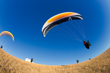 paragliders